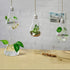 The Hanging Vase